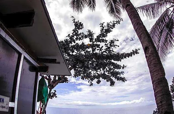Hotel Seafari Oslob